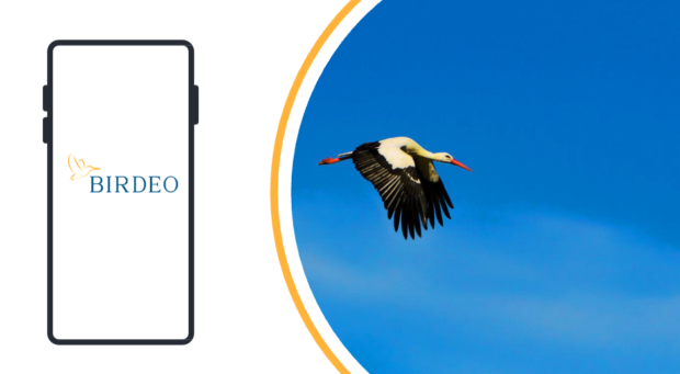 Birdeo, Ecoturismo y experiencias rurales