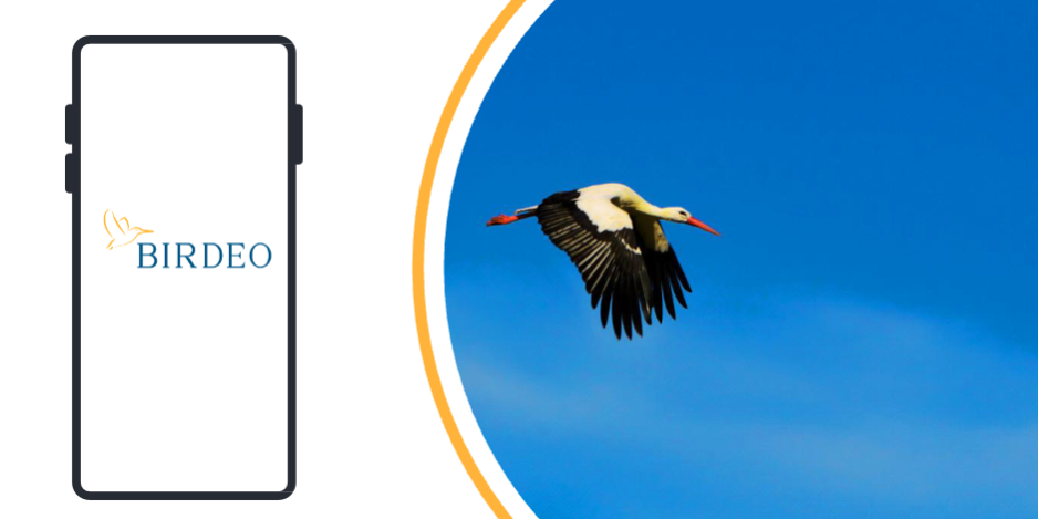 Birdeo, Ecoturismo y experiencias rurales